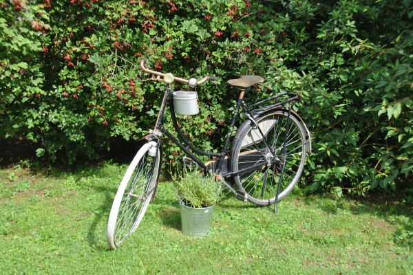 Pension Klein